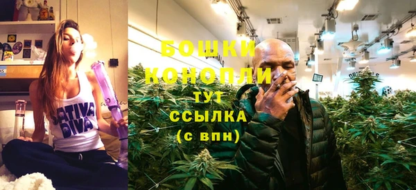 бошки Заводоуковск