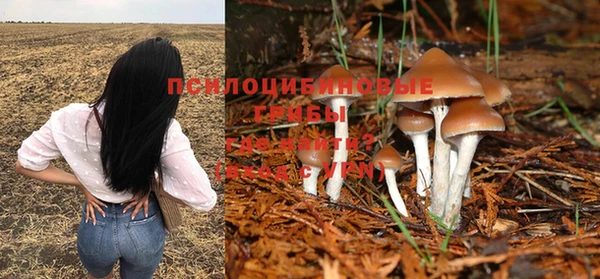 дурь Заволжск